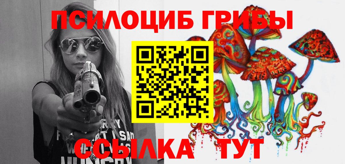 Карпинск  Псилоцибиновые грибы Psilocybe  Вход с VPN 